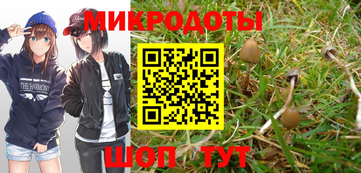 Галлюциногенные грибы GOLDEN TEACHER Гусиноозёрск